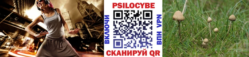 Псилоцибиновые грибы мицелий Артёмовск